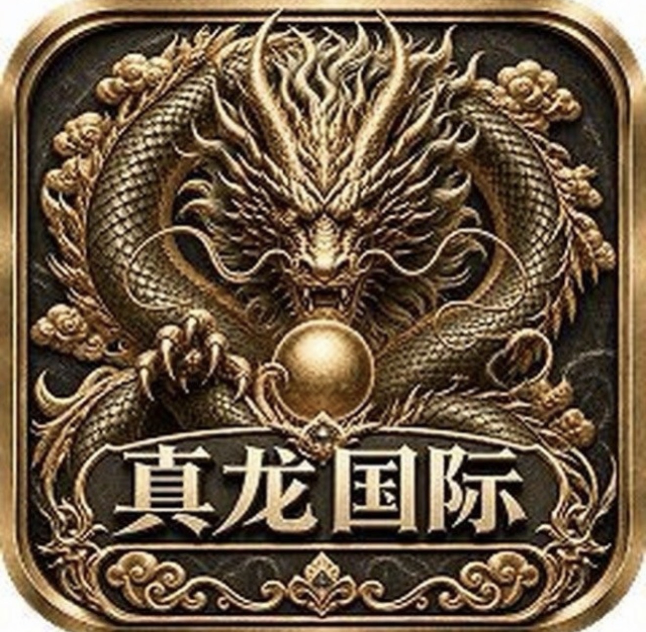 真龙国际